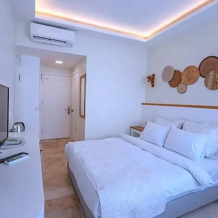Mavi Cam Ayvalik Altinova (Yalova)